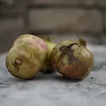 Planika Vikendica *