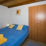 Planika