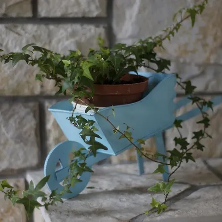 Дом отдыха Planika Вела-Лука