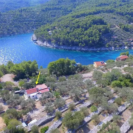 Planika * Вела-Лука