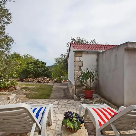 Planika Вела-Лука